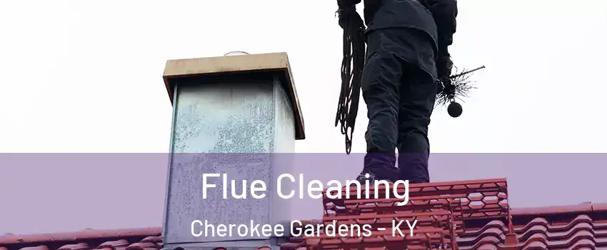 Flue Cleaning Cherokee Gardens - KY