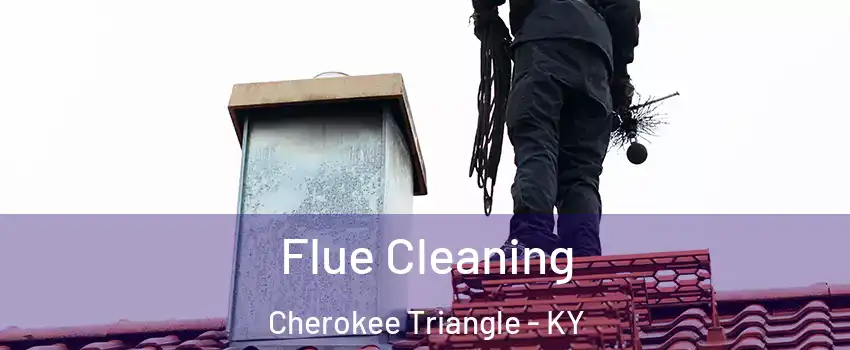 Flue Cleaning Cherokee Triangle - KY