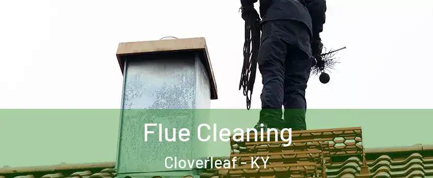 Flue Cleaning Cloverleaf - KY