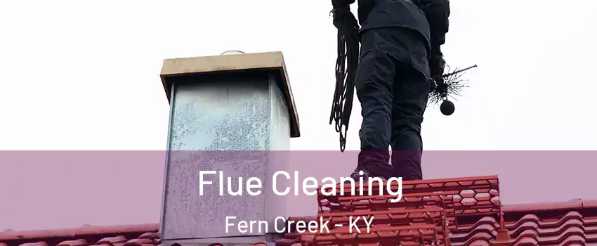 Flue Cleaning Fern Creek - KY