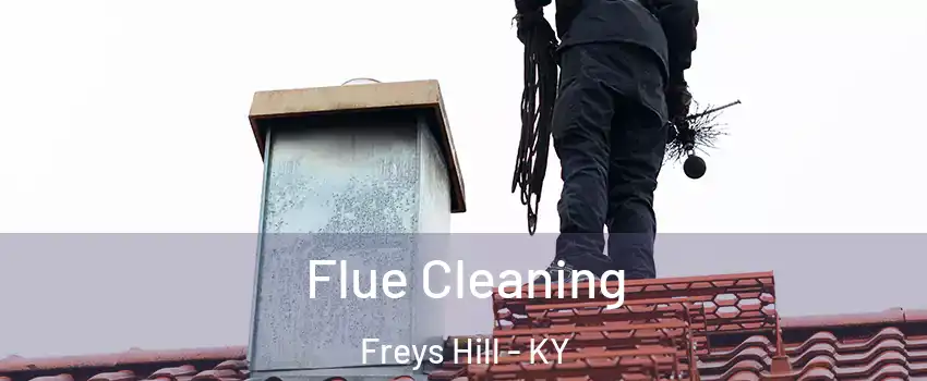 Flue Cleaning Freys Hill - KY