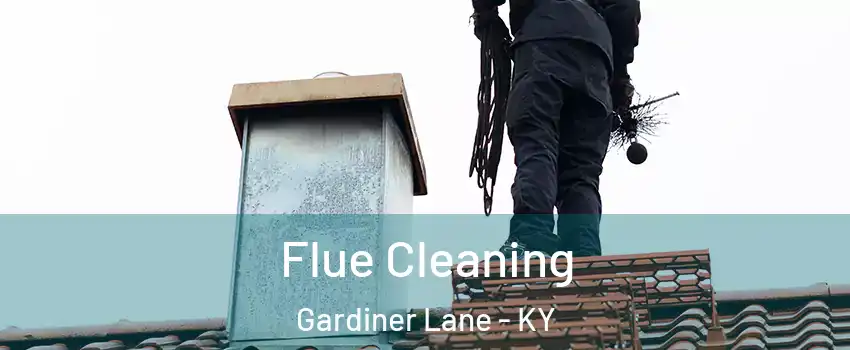 Flue Cleaning Gardiner Lane - KY