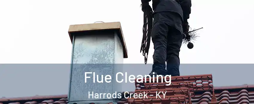 Flue Cleaning Harrods Creek - KY