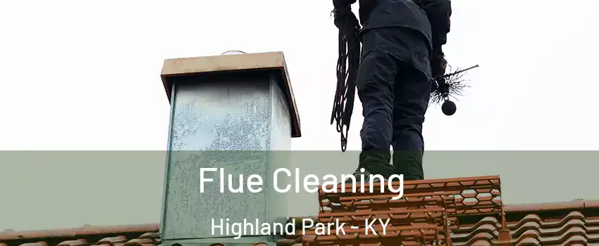 Flue Cleaning Highland Park - KY