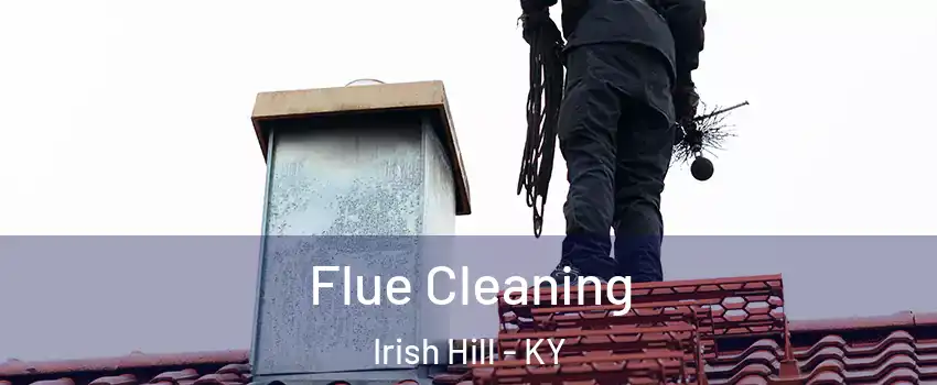 Flue Cleaning Irish Hill - KY