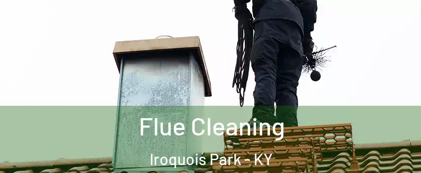 Flue Cleaning Iroquois Park - KY