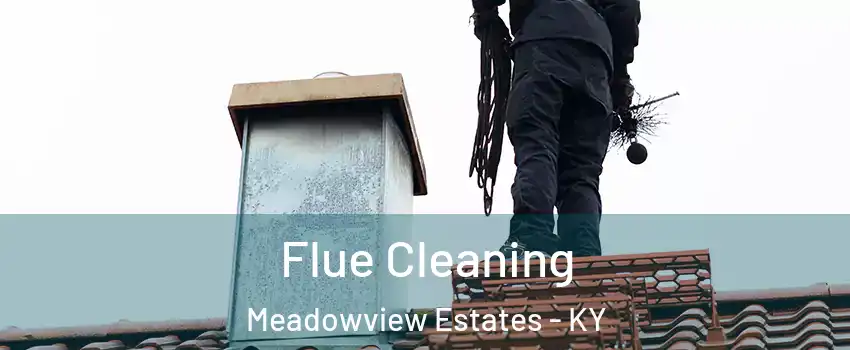 Flue Cleaning Meadowview Estates - KY