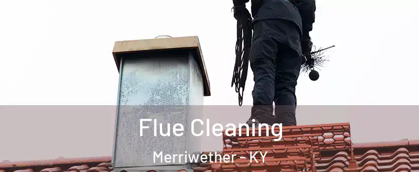 Flue Cleaning Merriwether - KY