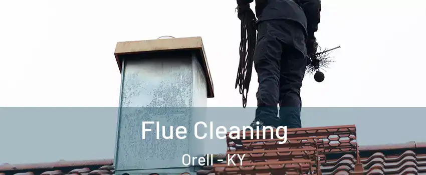 Flue Cleaning Orell - KY