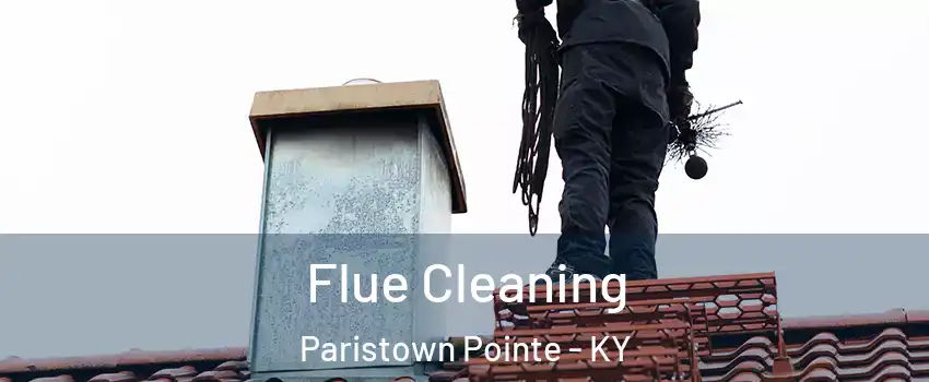 Flue Cleaning Paristown Pointe - KY