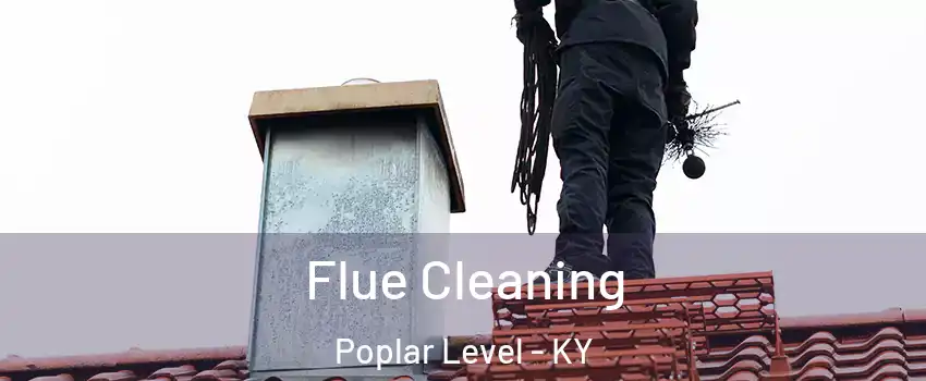Flue Cleaning Poplar Level - KY