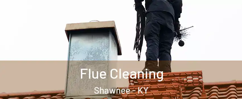 Flue Cleaning Shawnee - KY