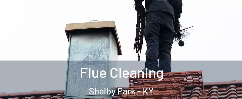 Flue Cleaning Shelby Park - KY