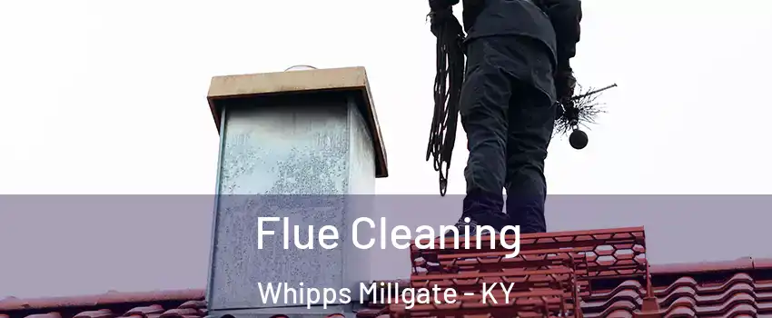 Flue Cleaning Whipps Millgate - KY