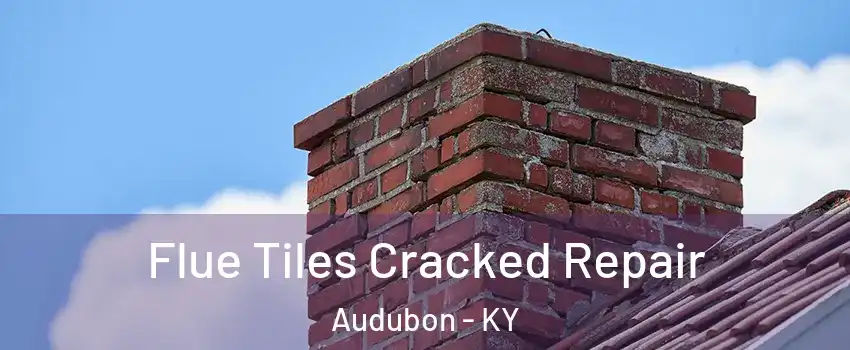 Flue Tiles Cracked Repair Audubon - KY