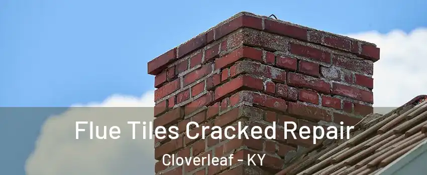 Flue Tiles Cracked Repair Cloverleaf - KY