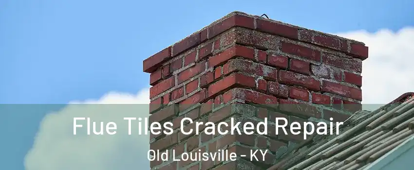 Flue Tiles Cracked Repair Old Louisville - KY