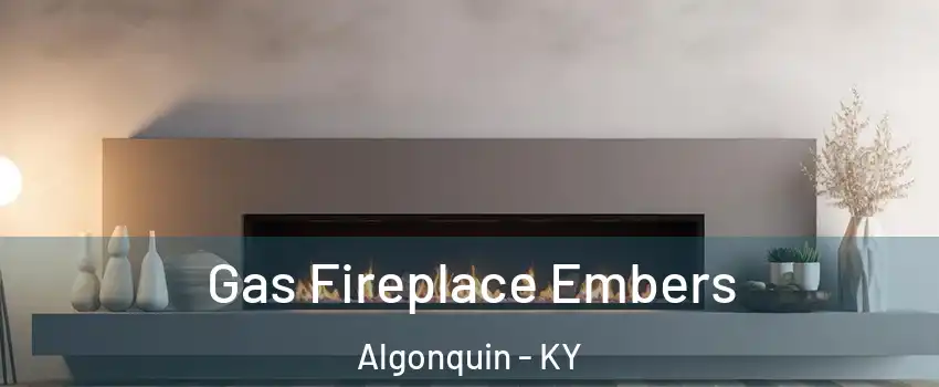 Gas Fireplace Embers Algonquin - KY