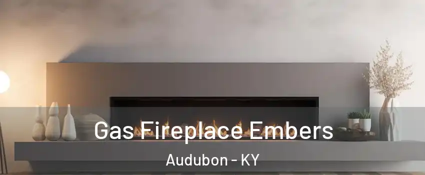 Gas Fireplace Embers Audubon - KY