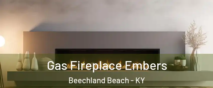 Gas Fireplace Embers Beechland Beach - KY