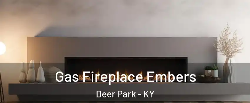 Gas Fireplace Embers Deer Park - KY