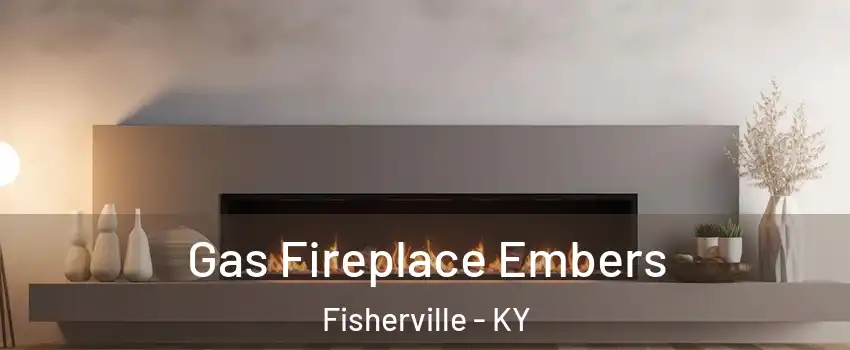 Gas Fireplace Embers Fisherville - KY