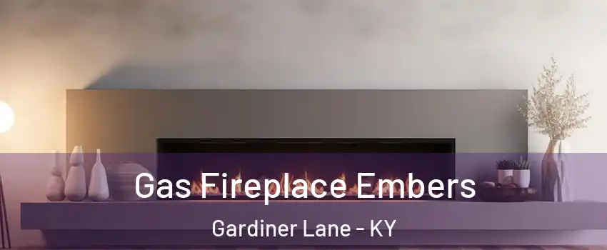 Gas Fireplace Embers Gardiner Lane - KY
