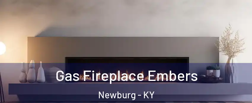 Gas Fireplace Embers Newburg - KY