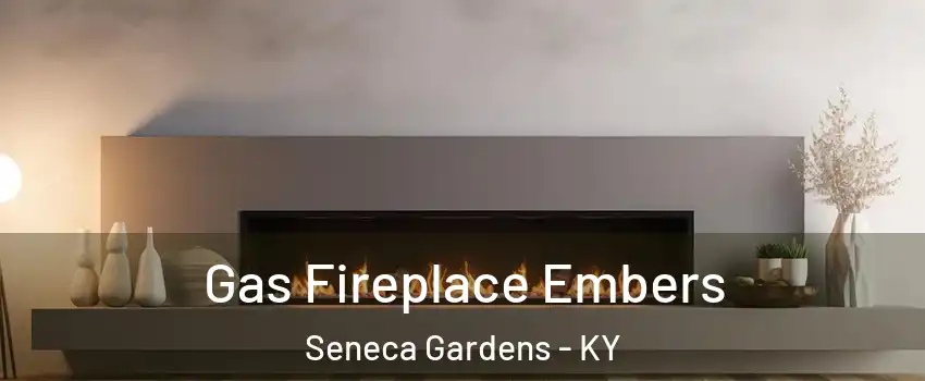 Gas Fireplace Embers Seneca Gardens - KY