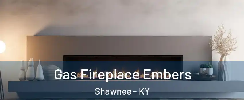 Gas Fireplace Embers Shawnee - KY