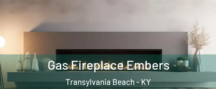 Gas Fireplace Embers Transylvania Beach - KY
