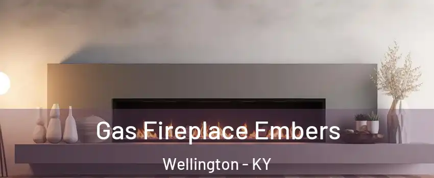 Gas Fireplace Embers Wellington - KY