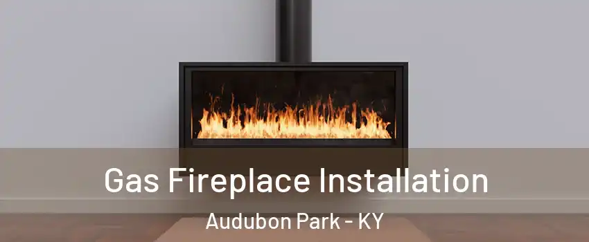 Gas Fireplace Installation Audubon Park - KY