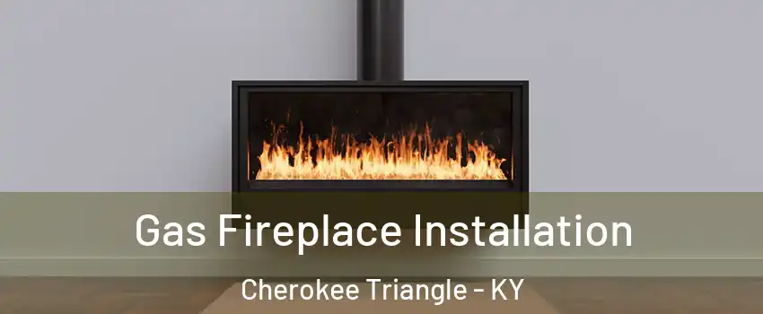 Gas Fireplace Installation Cherokee Triangle - KY