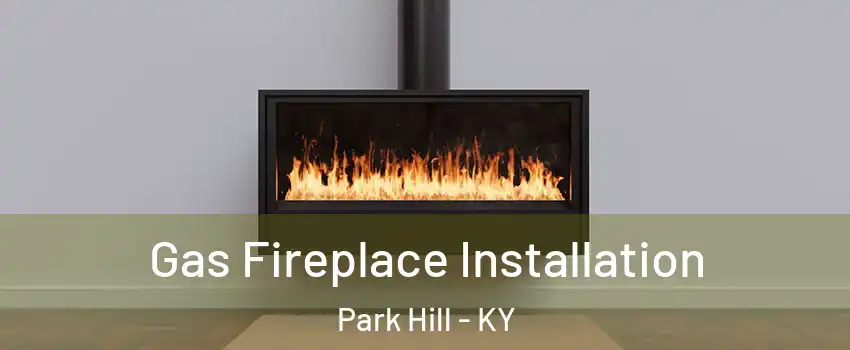 Gas Fireplace Installation Park Hill - KY
