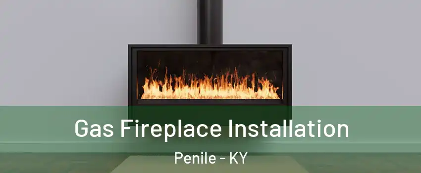 Gas Fireplace Installation Penile - KY