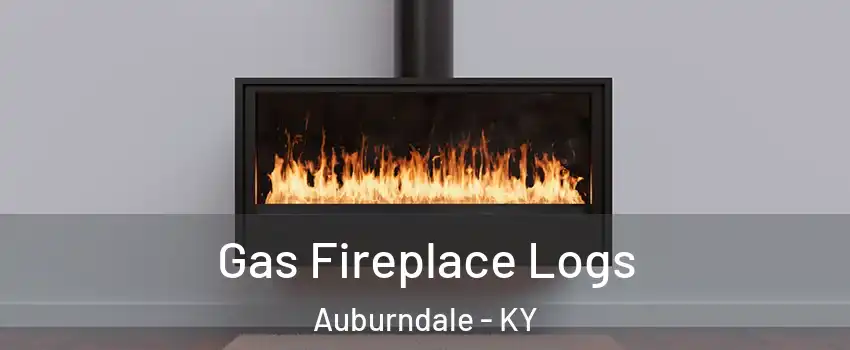 Gas Fireplace Logs Auburndale - KY