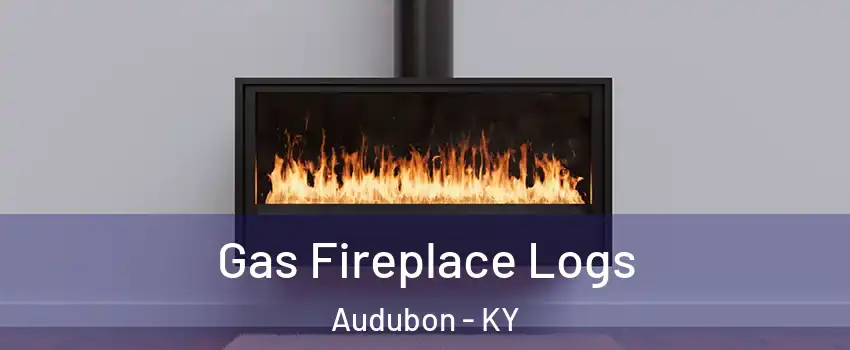 Gas Fireplace Logs Audubon - KY