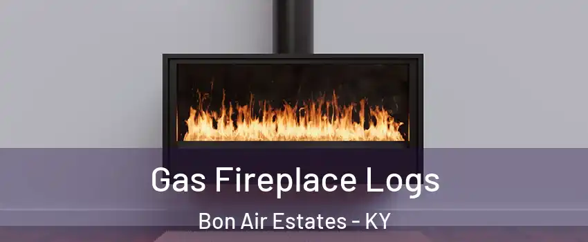 Gas Fireplace Logs Bon Air Estates - KY