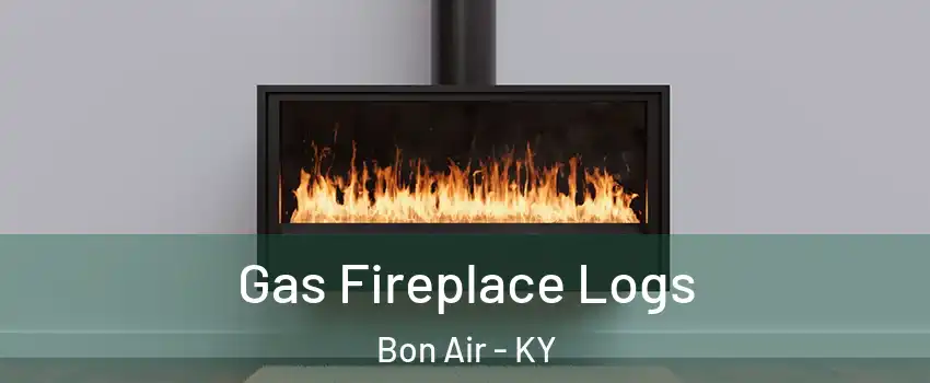 Gas Fireplace Logs Bon Air - KY