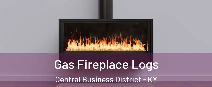 Gas Fireplace Logs Central Business District - KY