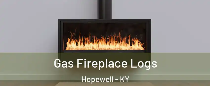 Gas Fireplace Logs Hopewell - KY