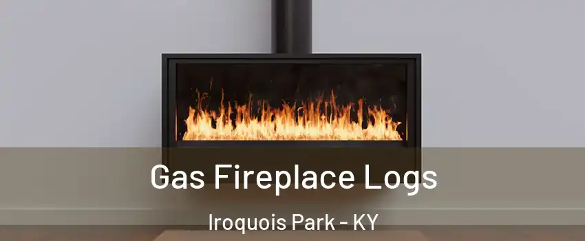 Gas Fireplace Logs Iroquois Park - KY