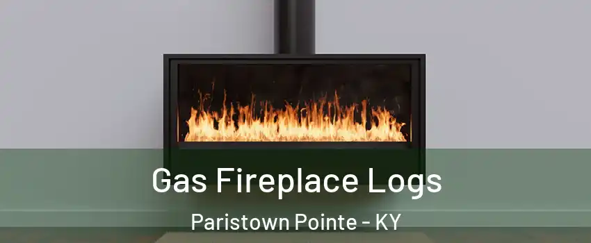Gas Fireplace Logs Paristown Pointe - KY