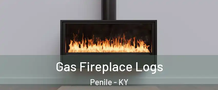 Gas Fireplace Logs Penile - KY