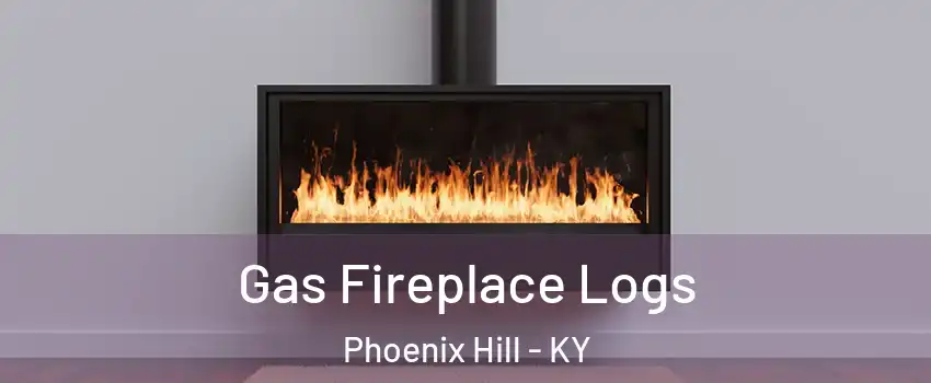Gas Fireplace Logs Phoenix Hill - KY