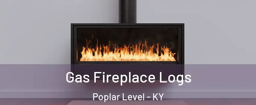 Gas Fireplace Logs Poplar Level - KY