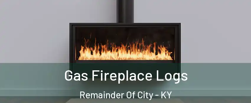 Gas Fireplace Logs Remainder Of City - KY