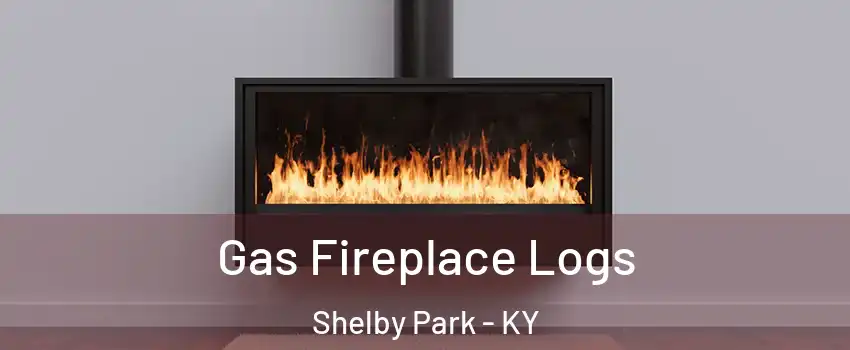 Gas Fireplace Logs Shelby Park - KY