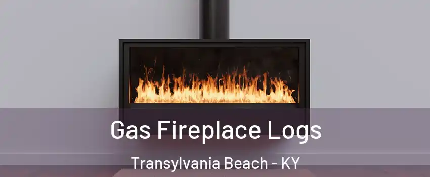 Gas Fireplace Logs Transylvania Beach - KY